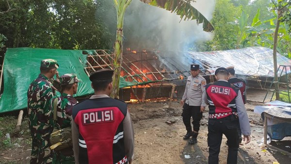2 Arena judi sabung ayam dimusnahkan tim gabungan TNI-POLRI